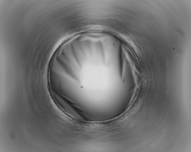 X0000111921475200908101211