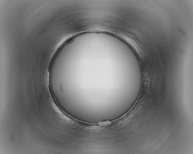 X0000111921476200908101211