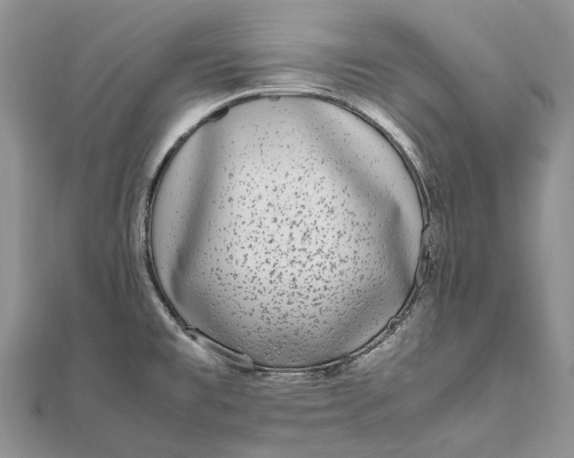 X0000111921477200908101211