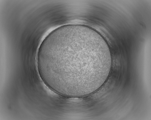 X0000111921478200908101211