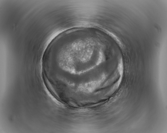 X0000111921479200908101211