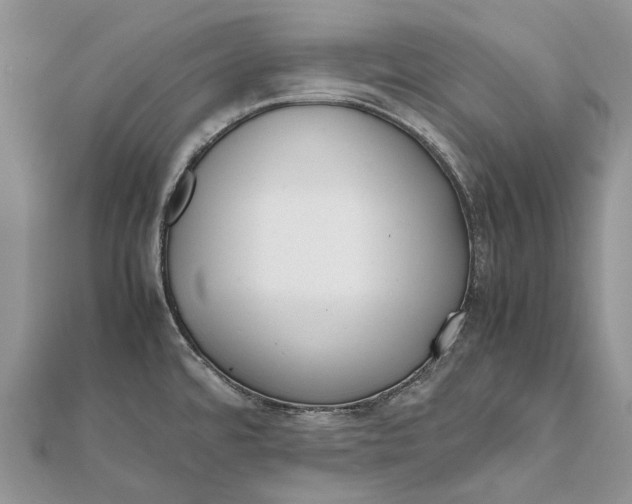 X0000111921480200908101211