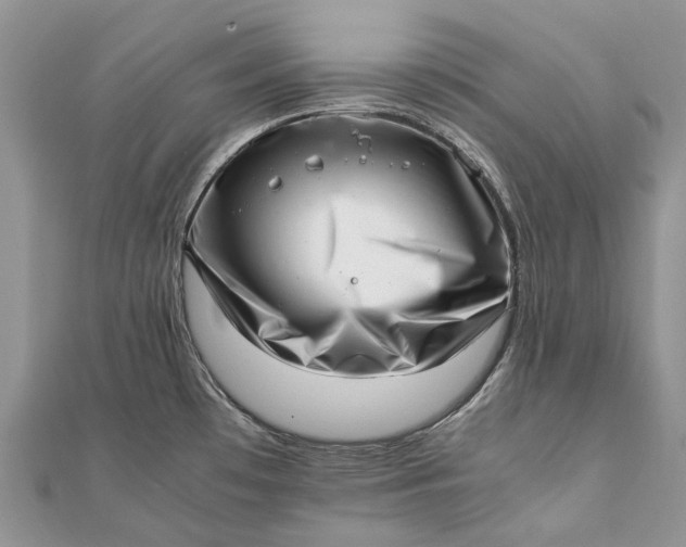 X0000111921481200908101211