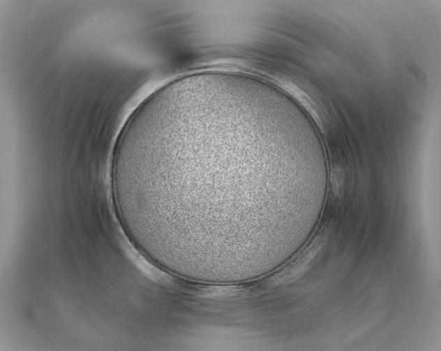 X0000111921482200908101211