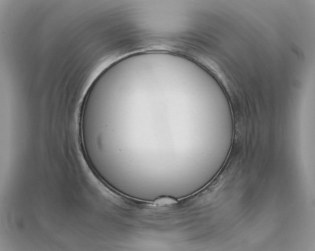 X0000111921483200908101211