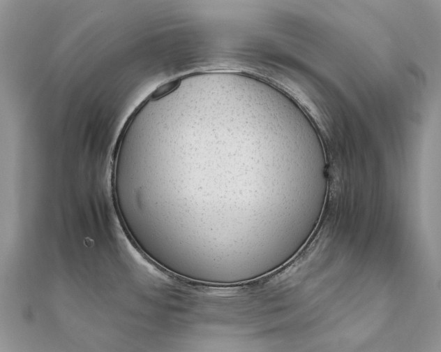 X0000111921484200908101211