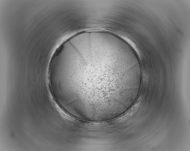 X0000111921485200908101211