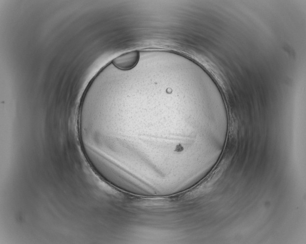 X0000111921486200908101211