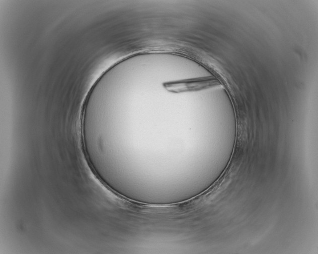 X0000111921487200908101211