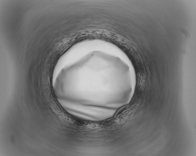 X0000111921489200908101210