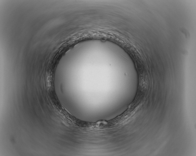 X0000111921490200908101210