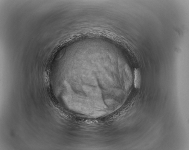 X0000111921491200908101210