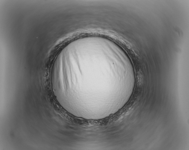 X0000111921494200908101210