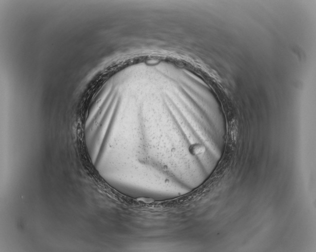 X0000111921495200908101210