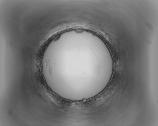 X0000111921496200908101210