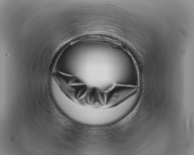 X0000111921497200908101210