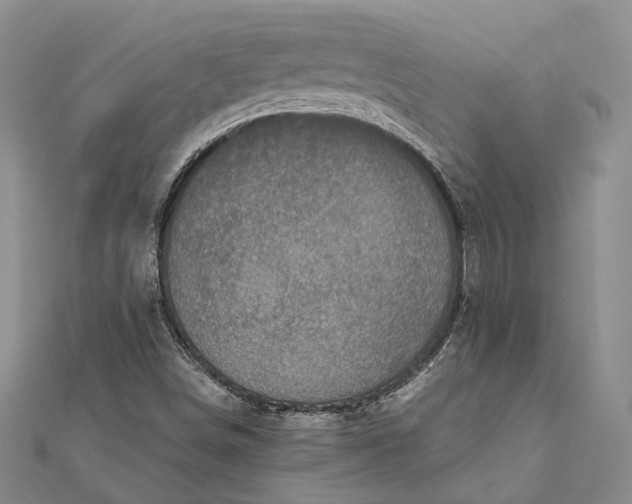 X0000111921498200908101210