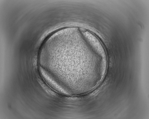 X0000111921499200908101210