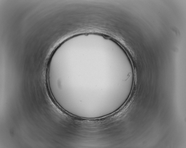 X0000111921500200908101210