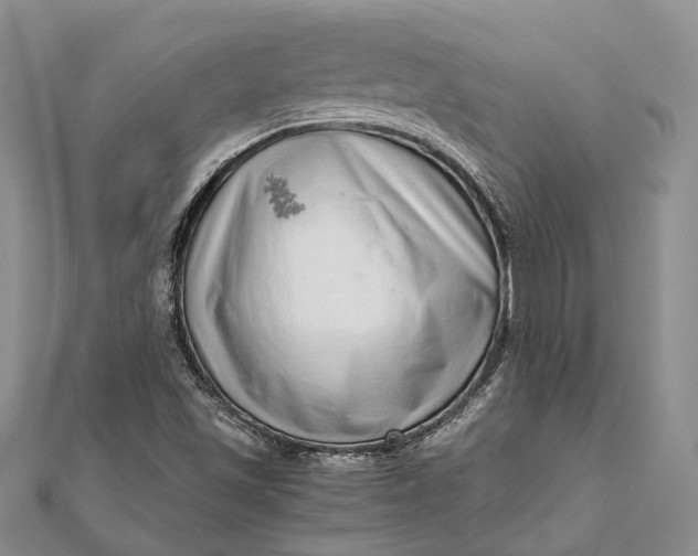 X0000111921501200908101210