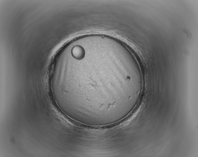 X0000111921502200908101210