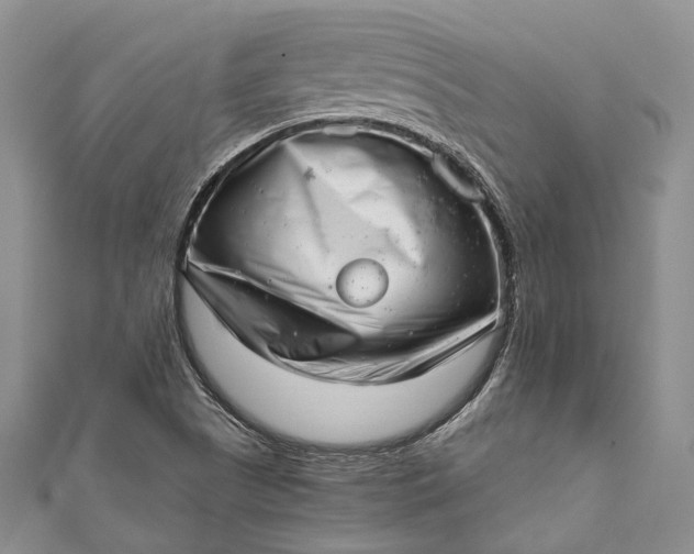 X0000111921505200908101210