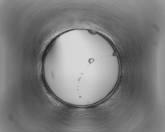 X0000111921507200908101210