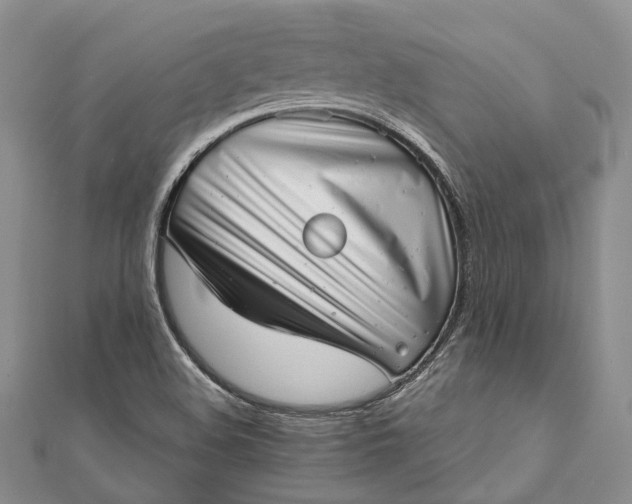 X0000111921508200908101211