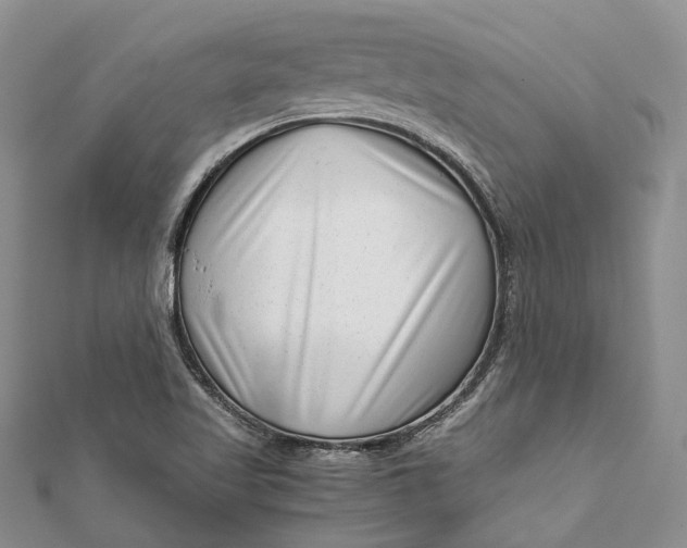 X0000111921509200908101211