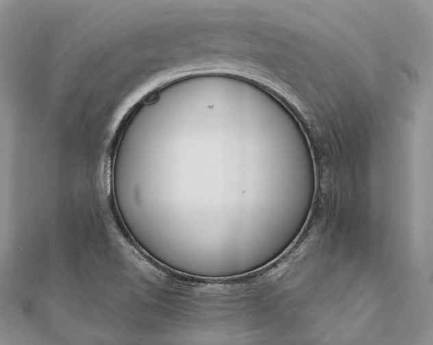 X0000111921510200908101211