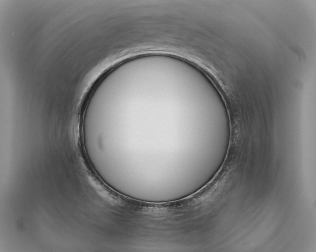 X0000111921511200908101211