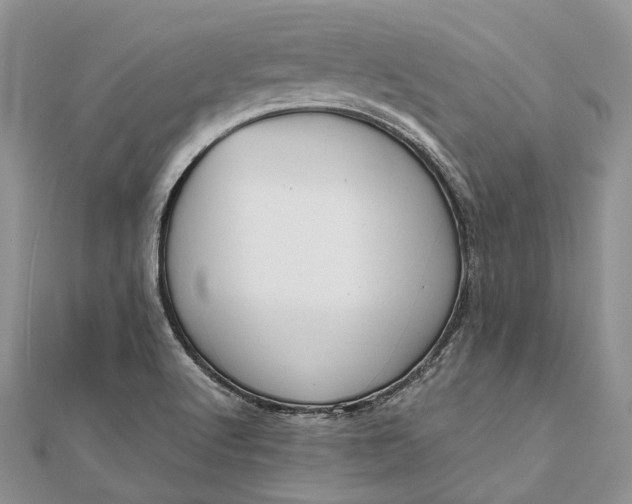 X0000111921512200908101211