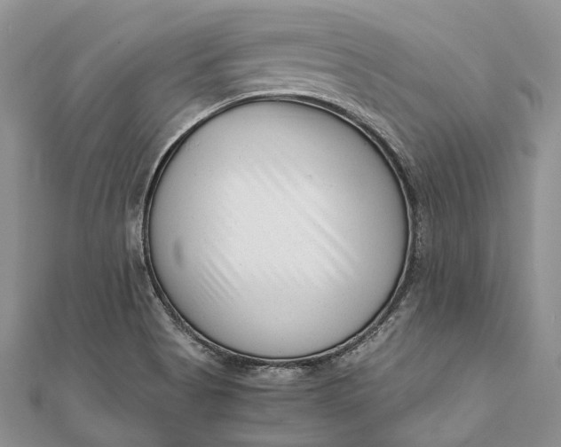 X0000111921513200908101211