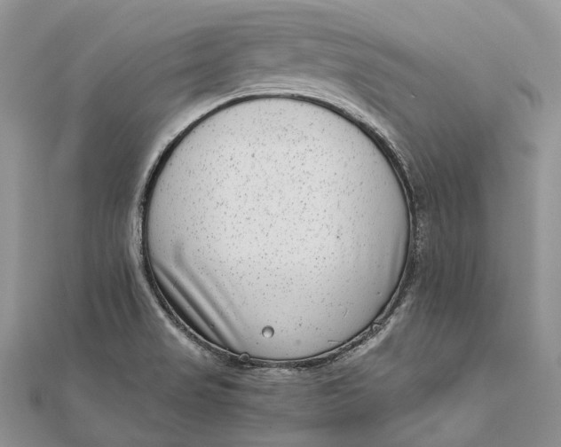 X0000111921517200908101211