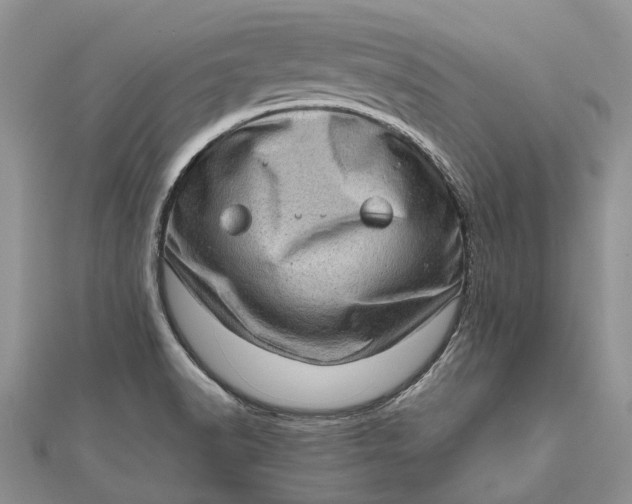 X0000111921518200908101211