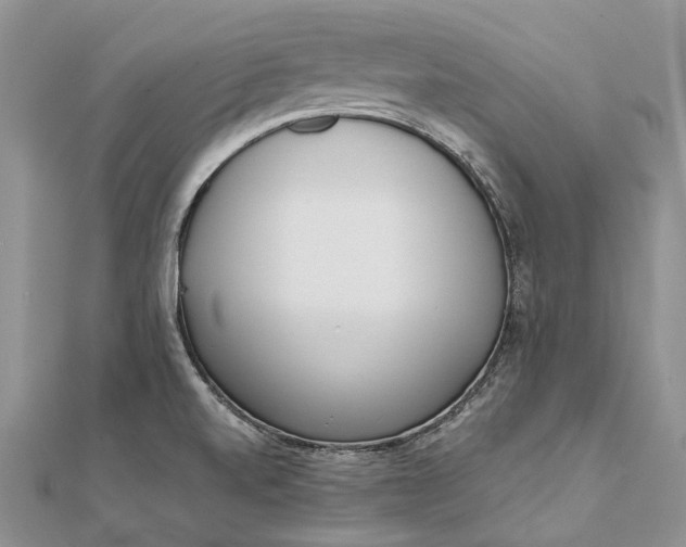 X0000111921520200908101211