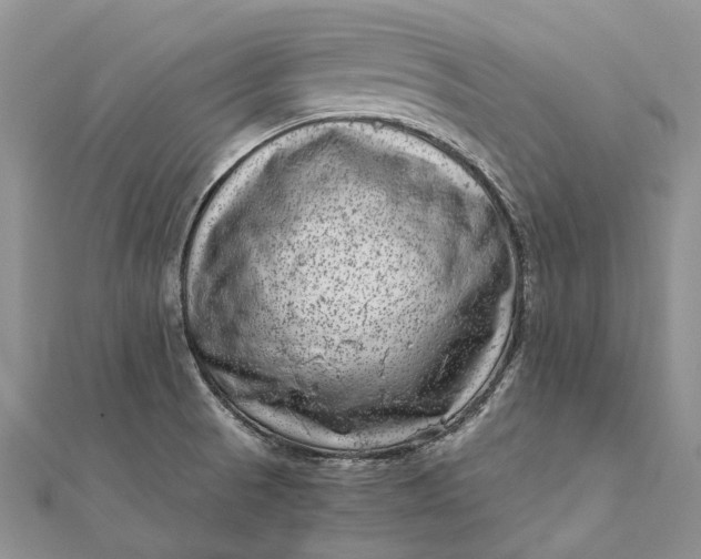 X0000111921521200908101211