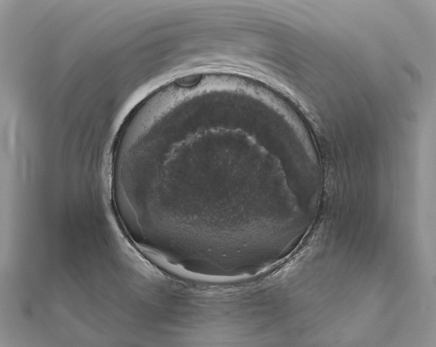 X0000111921522200908101211