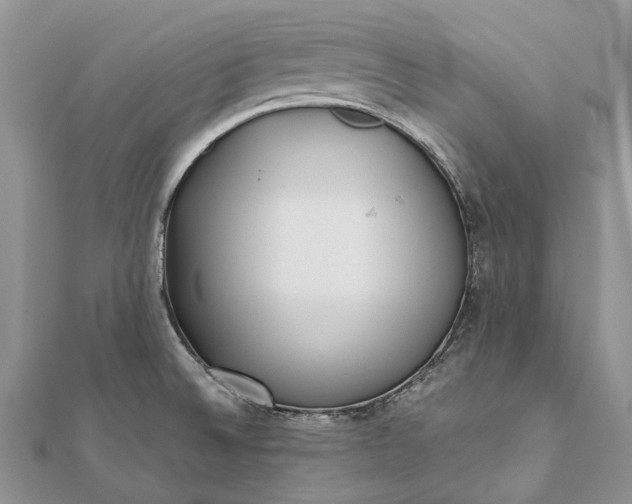 X0000111921524200908101211