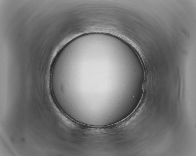 X0000111921525200908101211