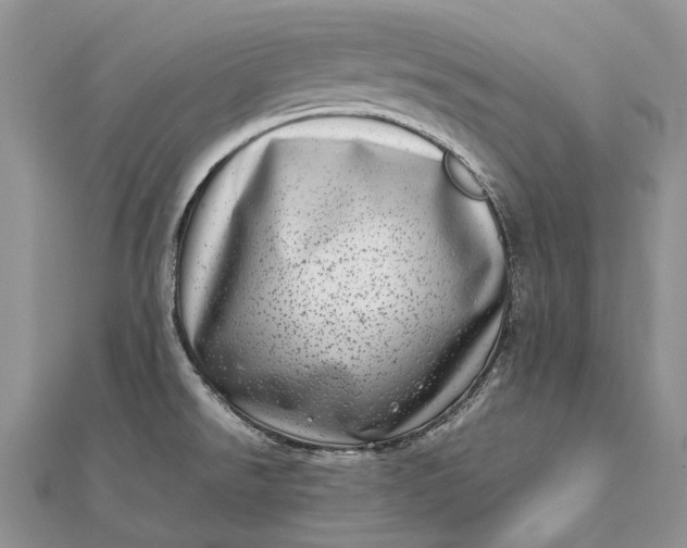 X0000111921526200908101211