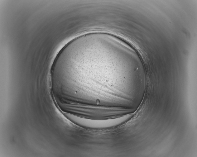 X0000111921527200908101211