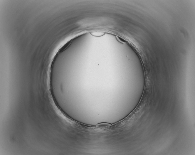 X0000111921528200908101211