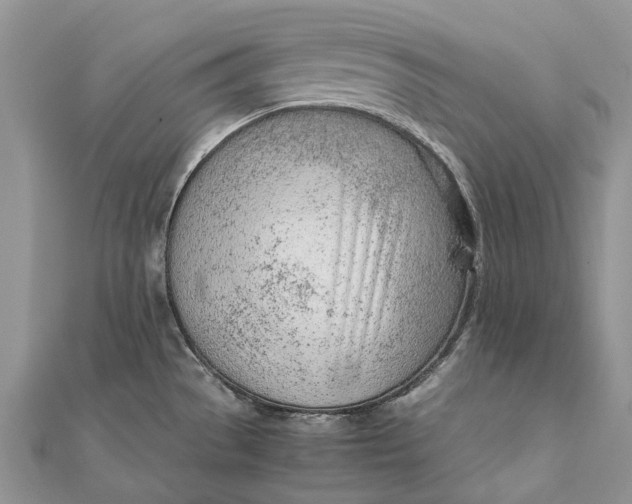 X0000111921529200908101211