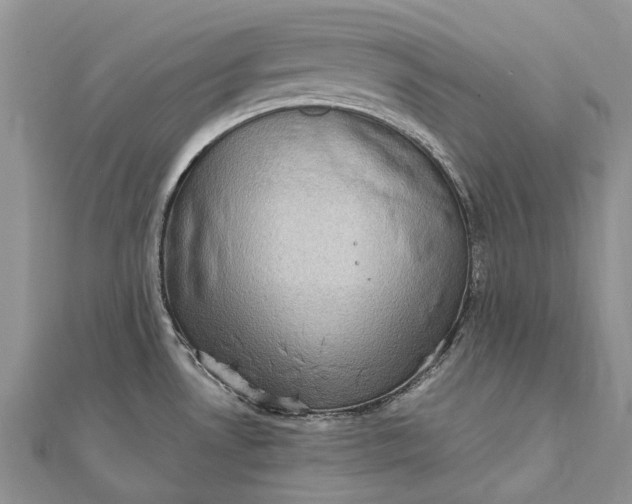 X0000111921530200908101211