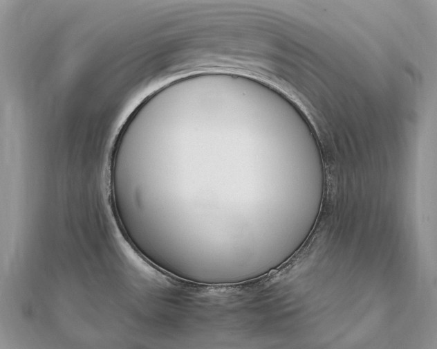 X0000111921531200908101211