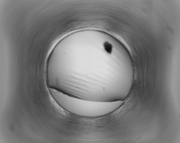 X0000111921532200908101211