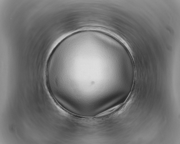 X0000111921533200908101211