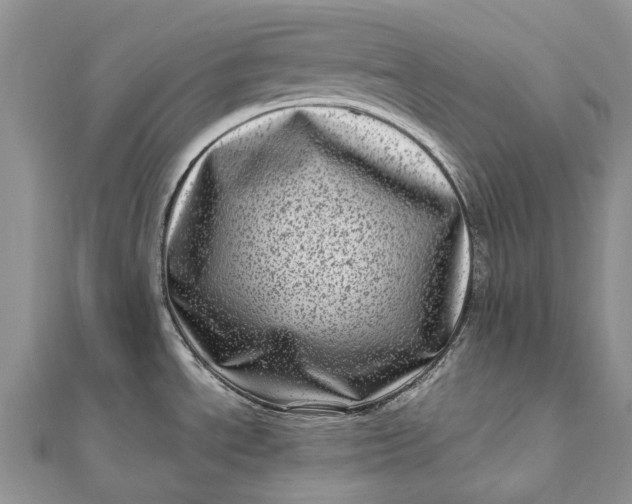 X0000111921534200908101211