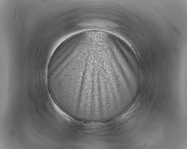 X0000111921535200908101211